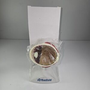Banfield Eye Anatomy Model Educational Teaching Tool
